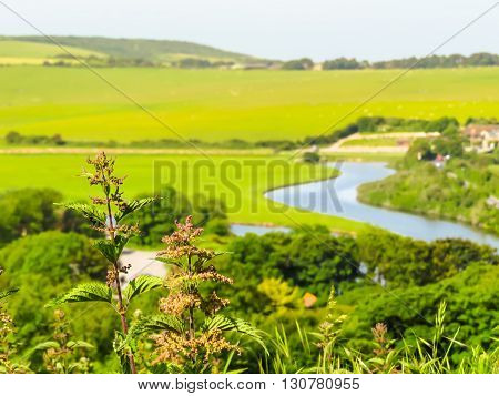 Seven Sisters National Park, Cuckmere river Valley, East Sussex, England. Selective focus