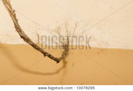 Electroconducting viejo