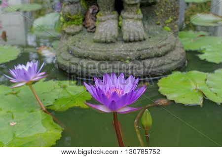 lotus flower under buddha's feet in mendut buddhist monastery