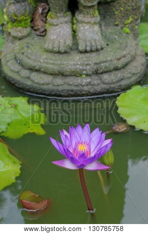 lotus flower under buddha's feet in mendut buddhist monastery