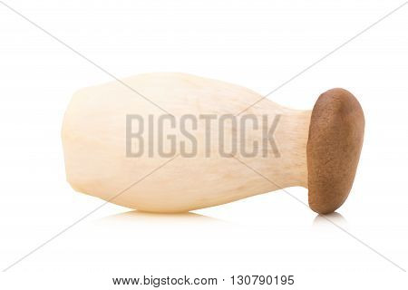 King Oyster mushroom (Eringi) on white backgroud.