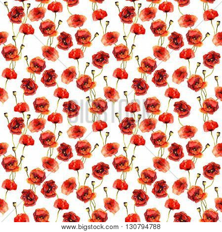 Vintage floral repeating sealess background with poppies in natural colors