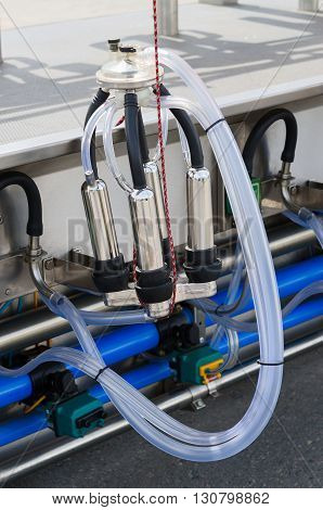 GOMEL BELARUS - MAY 19 2016: Milking machine of 