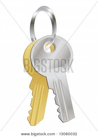 a bunch of two metal keys