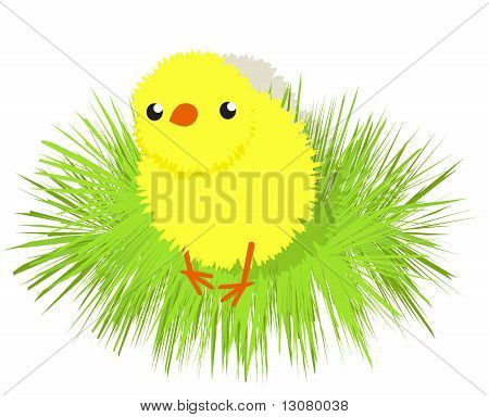 A little cute downy cartoon chicken