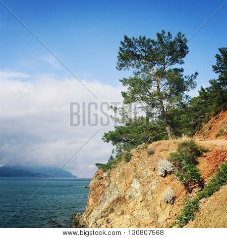 View on sea bay. Retro styled photo. Pine-trees and rocks. Aged photo. Lycian Way Walking - retro style photo. Antalya Province Turkey. Vertical format.