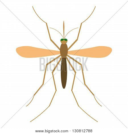 Mosquito vector illustration. Mosquito isolated on white background. Mosquito vector icon illustration. Anopheles Mosquito isolated vector.