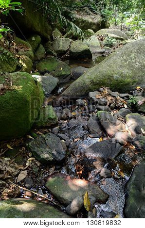 Stream in the jungle near the Juara beach, Tioman island, Malaysia