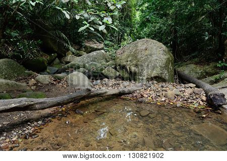 Stream in the jungle near the Mukut beach, Tioman island, Malaysia