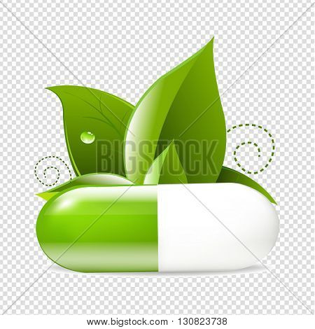 Tablet With Leaves, Isolated on Transparent Background, With Gradient Mesh, Vector Illustration
