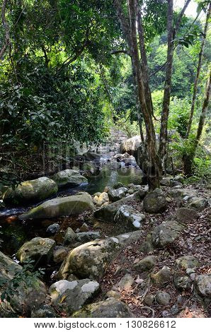 Stream in the jungle near the Mukut beach, Tioman island, Malaysia