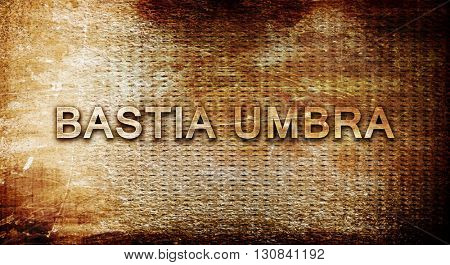 Bastia umbra, 3D rendering, text on a metal background