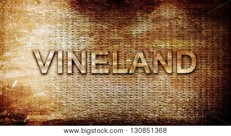 vineland, 3D rendering, text on a metal background