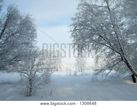 Белая Зимняя сказка