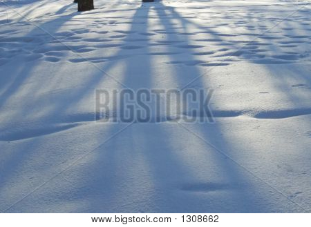 Тени на снегу
