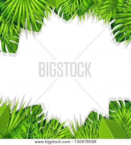Illustration Summer Fresh Background with Tropical Leaves and Copy Space for Your Text - Vector