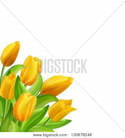Illustration Natural Bouquet with Yellow Tulips Flowers Isolated on White Background, Copy Space for Your Text - Vector