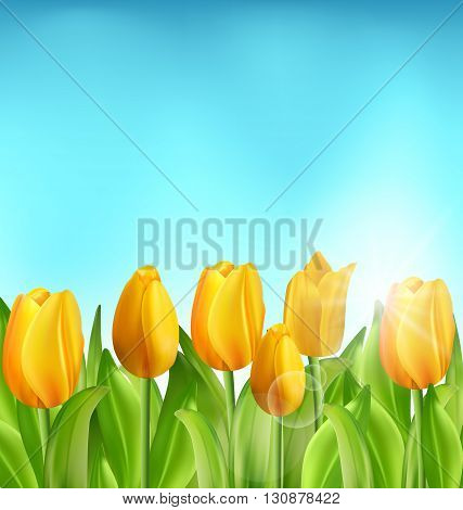Illustration Nature Floral Background with Tulips Flowers and Blue Sky, Springtime, Summertime, Environment, Beautiful Landscape - Vector