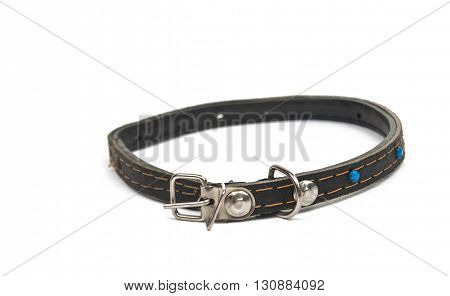 clasp cat collar isolated on white background