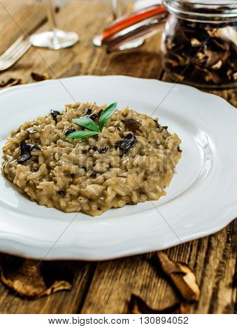 Traditional italian risotto with mushroom on white plate
