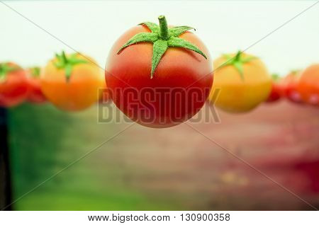 Fresh tomatoes floating in air and a colorful background
