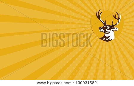 Business card showing illustration of a whitetail deer buck stag head looking to the side set inside shield crest done in retro style.