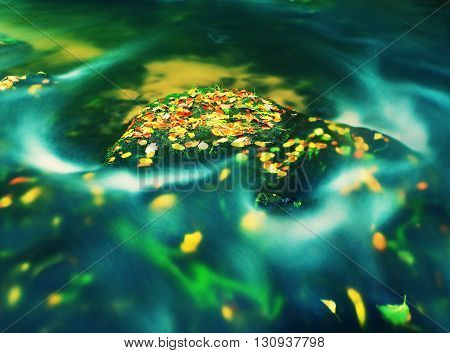 Colorful Aspen Leaves On Boulder In Mountain Stream. Clear Water Blurred By Long Exposure, Reflectio