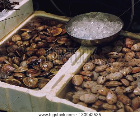 Traditional asian market stall full of fresh clams