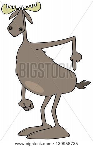 Illustration of an irate bull moose pointing to his hind quarters.