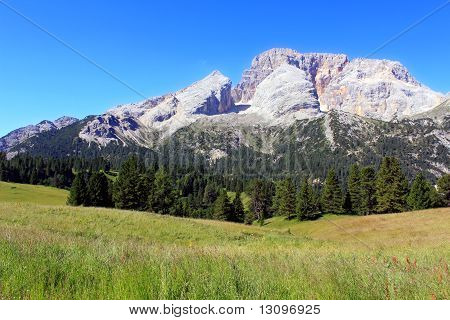 montagne e pascoli alpini