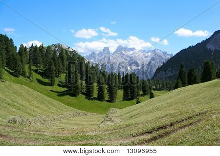 montagne e pascoli alpini