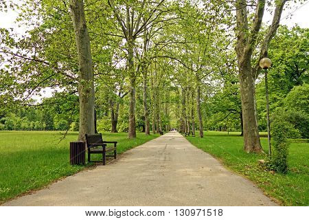 Pathway in park during a spring day