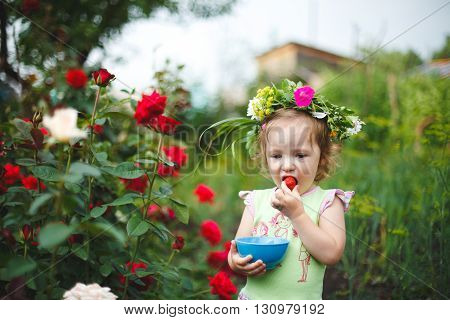 Little girl eating strawberry in garden with roses