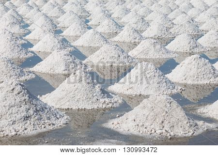 Collected of salt from sea water in salt farm Thailand.