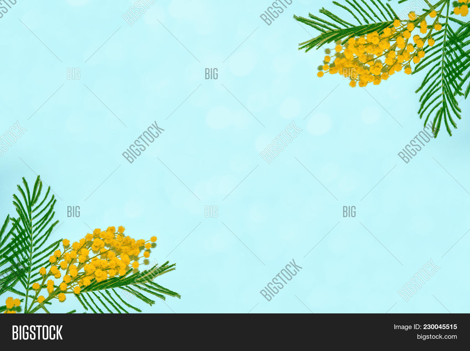decoration spring bush yellow powerpoint template decoration spring ppt background