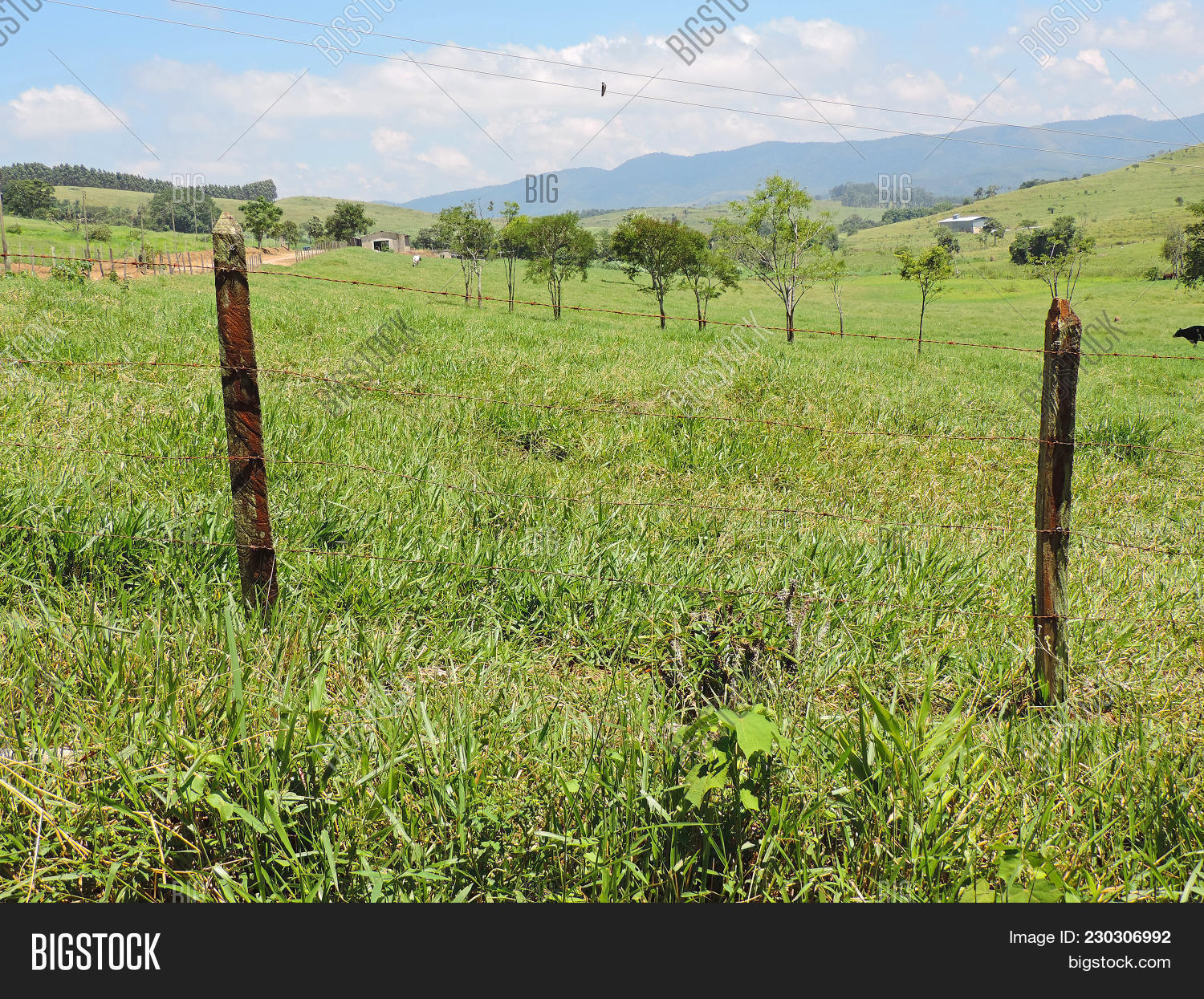 landscape of a farm powerpoint template landscape of a farm