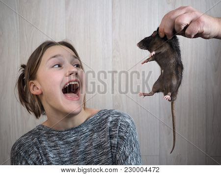 A Man's Hand Shows A Rat To A Girl