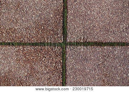 Pink Pavement With Crossed Joints With Moss