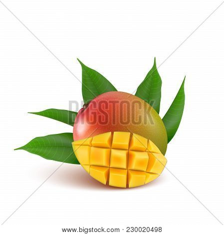 Mango Fruit For Fresh Juice, Jam, Yogurt, Pulp. 3d Realistic Yellow, Green, Red, Orange Ripe Mango C