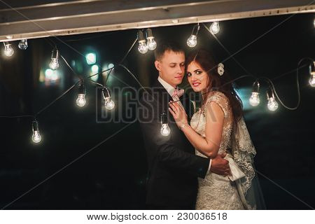 Enamored Newlyweds Gently Embrace. Wedding Ceremony In Nature. The Lights Of The Electric Garland Il