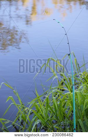 Green Feeder Fishing On River On A River. A Bow Of A Big Fish