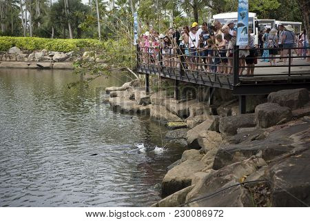 Pattaya,thailand- February 23,2018: Feeding Fish Arapaimy In The Pond Of The Park Of Madame Nong Noo