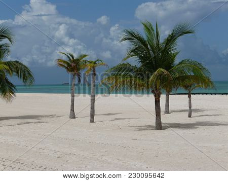 Isla Pasion - Beautiful Palm Tree Beach In The Nature Reserve Passion Island Next To Cozumel Mexico