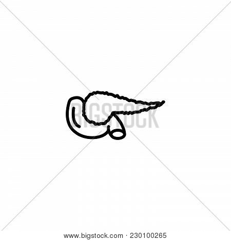Web Line Icon. Pancreas Black On White Background