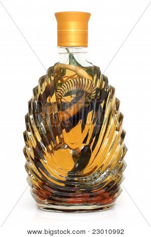 Pullon alkoholia käärme