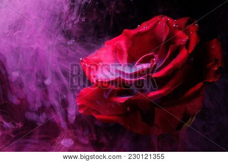 Smoke and a beautiful rose.