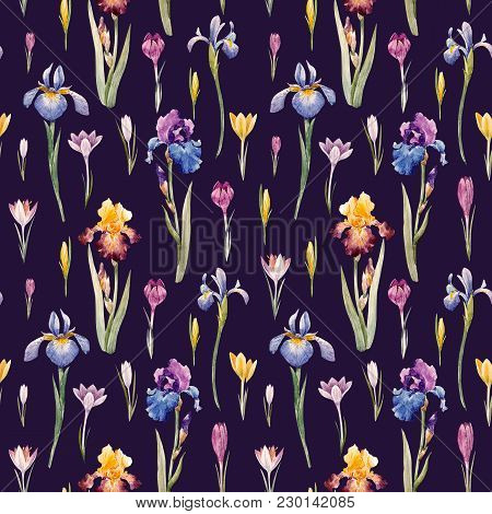 Beautiful Seamless Pattern With Watercolor Hand Drawn Springcrocuses Hyacinths Irises Flowers