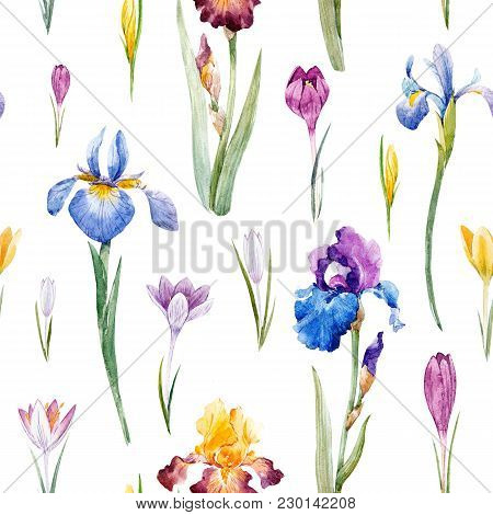 Beautiful Seamless Pattern With Watercolor Hand Drawn Springcrocuses Hyacinths Irises Flowers