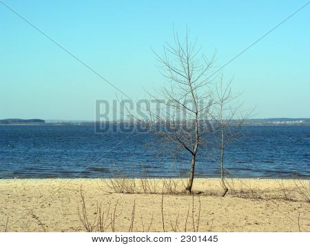 Spiaggia In autunno