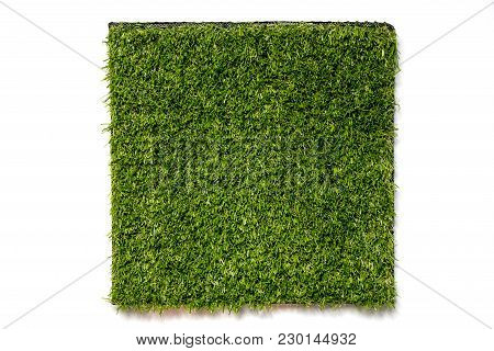 Artificial Green Grass In Square Plate On White Background